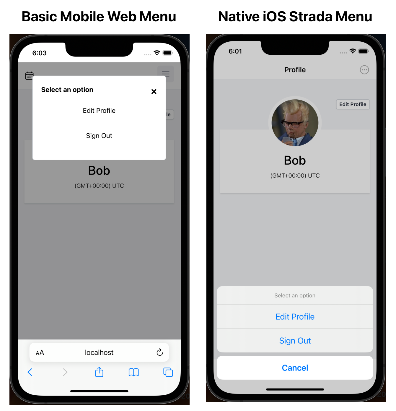 Mobile Web vs Native iOS
